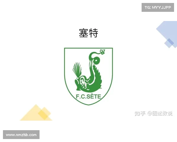 法甲冠军标志设计背后的创意与文化象征解析